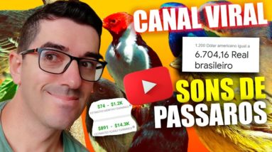 Como Criar um canal de Cantos de Passaros no Youtube para Monetizar 2 Como Criar um canal de Cantos de Passaros no Youtube para Monetizar