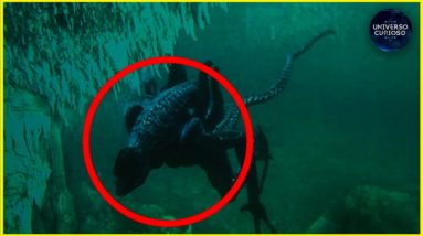 Criaturas estranhas que vivem na Fossa das Marianas! 16 Criaturas estranhas que vivem na Fossa das Marianas!