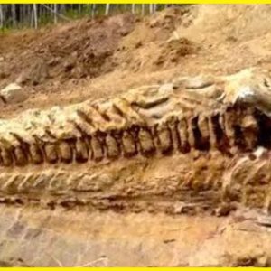 ELES DESCOBRIRAM ISSO ACIDENTALMENTE... 8 ELES DESCOBRIRAM ISSO ACIDENTALMENTE...