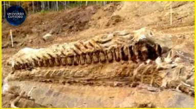 ELES DESCOBRIRAM ISSO ACIDENTALMENTE... 6 ELES DESCOBRIRAM ISSO ACIDENTALMENTE...