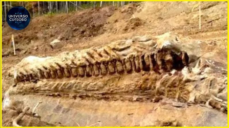 ELES DESCOBRIRAM ISSO ACIDENTALMENTE... 1 ELES DESCOBRIRAM ISSO ACIDENTALMENTE...