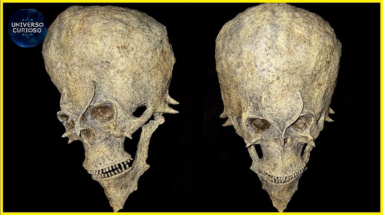 Eles descobriram um esqueleto estranho e assustador no Peru!