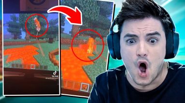 O QUE ACONTECEU COM AS RAPOSAS NO MINECRAFT? 6 O QUE ACONTECEU COM AS RAPOSAS NO MINECRAFT?