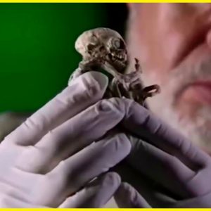 Criaturas ATERRORIZANTES encontradas recentemente! 14 Criaturas ATERRORIZANTES encontradas recentemente!