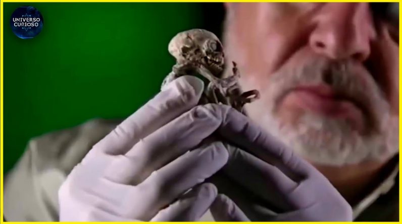 Criaturas ATERRORIZANTES encontradas recentemente! 1 Criaturas ATERRORIZANTES encontradas recentemente!