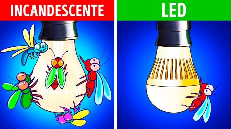Livre-se destas 8 Coisas para Acabar com os Insetos da sua Casa Hoje Mesmo! 1 Livre-se destas 8 Coisas para Acabar com os Insetos da sua Casa Hoje Mesmo!