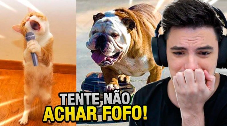 TENTE NÃO ACHAR FOFO! 1 TENTE NÃO ACHAR FOFO!