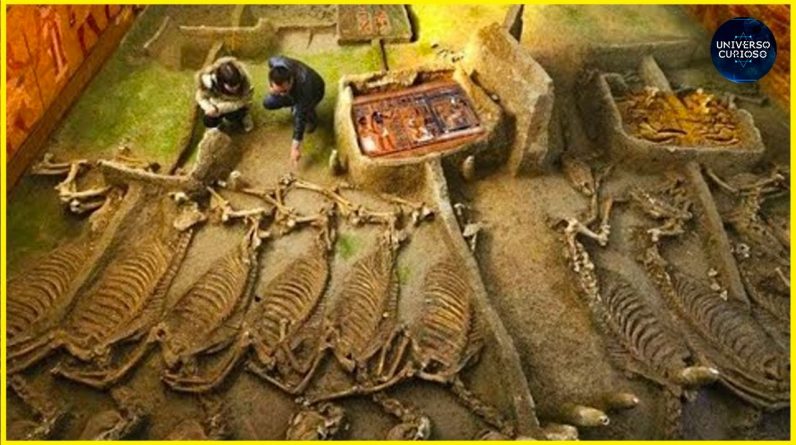 Uma recente descoberta na China tem IMPRESSIONADO a ciência! 1 Uma recente descoberta na China tem IMPRESSIONADO a ciência!