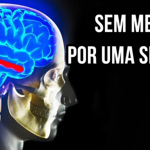 E Se Todos os 8 Bilhões de Pessoas Perdessem a Memória de Uma Vez 6 E Se Todos os 8 Bilhões de Pessoas Perdessem a Memória de Uma Vez