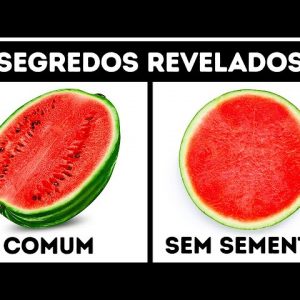 Como São Cultivadas as Frutas Sem Sementes, e 25 Outros Mistérios Comuns 10 Como São Cultivadas as Frutas Sem Sementes, e 25 Outros Mistérios Comuns