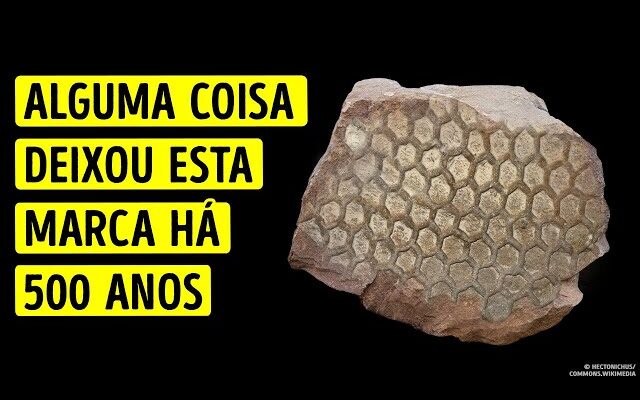 O Que Fez Esta Marca Estranha Há 500 Milhões de Anos?