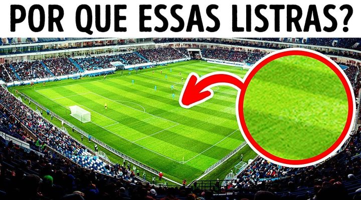 Por Que os Campos de Futebol Têm Listras — e Outros 15 Fatos Interessantes Sobre Futebol