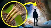 Estes Enormes Túneis Foram Cavados por Monstros Antigos