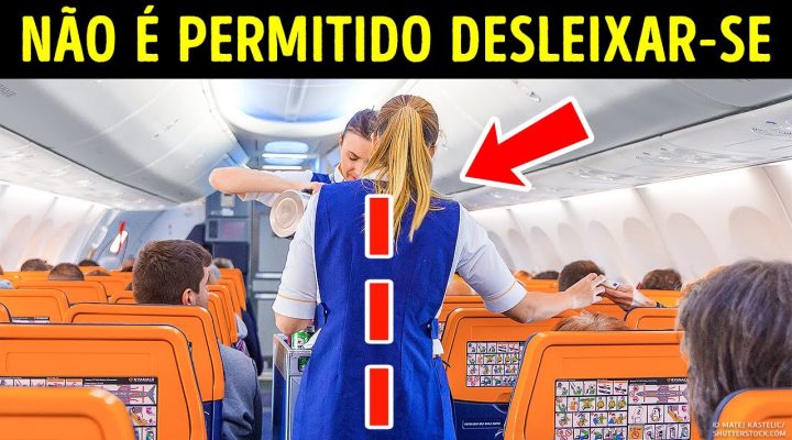 101 fatos aleatórios para encher seu cérebro