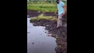 He definitely goes straight to another dimension #funny #fail #mud #afv