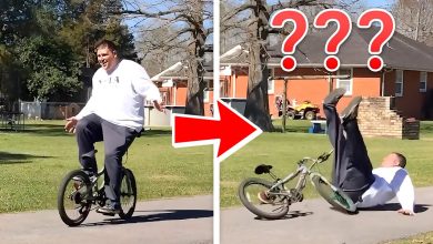 2 HOURS TRY NOT TO LAUGH | Funniest Fails Caught on Camera