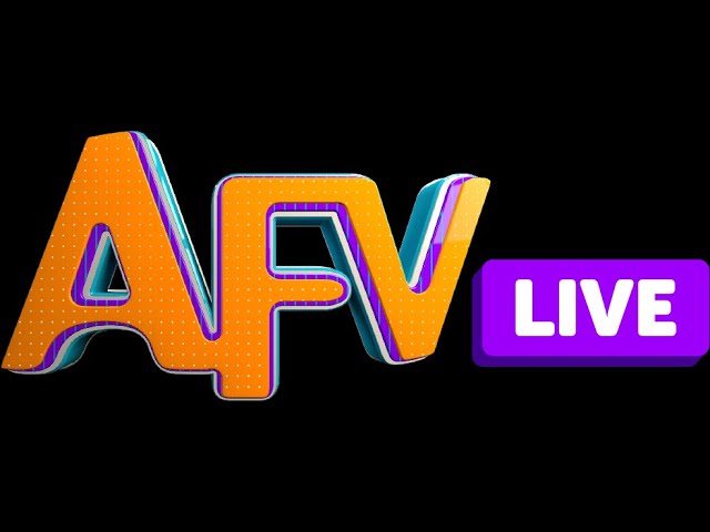AFV Live! Watching some of our funniest fails LIVE!