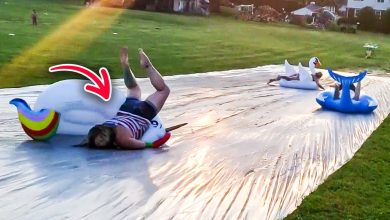 BEST FAIL OF THE WEEK | Tailgating day fails compilation ?