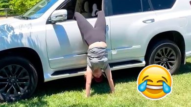 The Best Epic Fails of Cars caught on camera