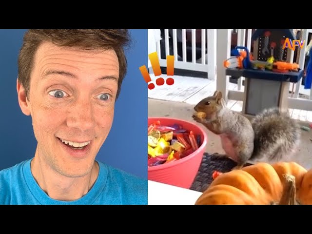 [2 HOUR] Try Not to Laugh Challenge! | AFV Live