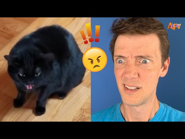 [30 min] Try Not To Laugh Challenge! | Funny Videos with AFV Live!