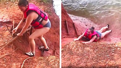 Mess Masters! | Hilarious Fails in Mud, Dust, and More