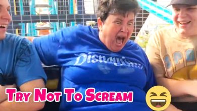 Screams & Scares! | Ultimate Prank and Scare Compilation! ??