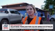 Voluntários trabalham para salvar animais de estimação no RS