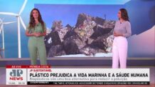 Plástico prejudica vida marinha e saúde humana; Patrícia Costa comenta