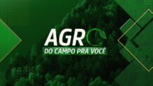 AGRO: DO CAMPO PRA VOCÊ – 11/08/2024