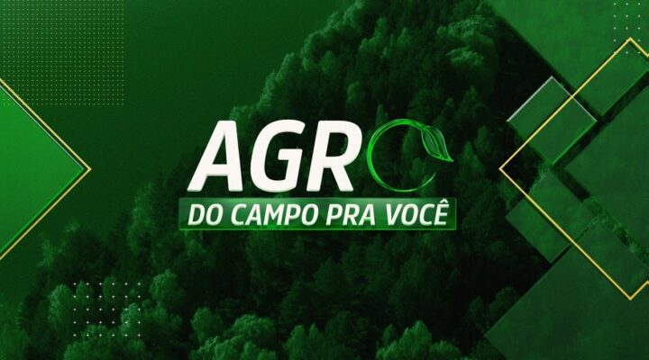 AGRO: DO CAMPO PRA VOCÊ – 11/08/2024