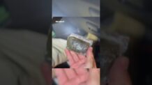 PRF apreende droga sintética durante fiscalização na BR-116