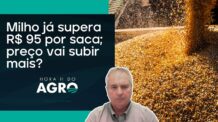 Preço do milho dispara com oferta apertada | HORA H DO AGRO