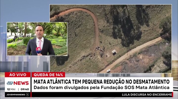 Mata Atlântica teve redução no desmatamento em 2024